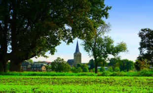 Blick auf St. Peter in Spellen