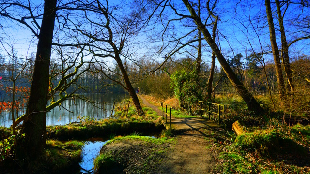 Idylle am Anton-Raky-Weiher